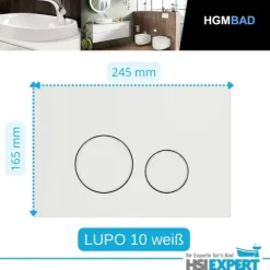 2 x Set Geberit Spülkasten Bartolo WC spülrandlos Betätigungsplatte weiß inkl. Zubehör