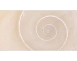 Badrückwand mySPOTTI aqua Schnecke 90x45 cm