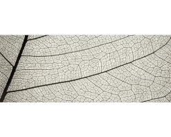 Badrückwand mySPOTTI aqua Struktur 120x45 cm