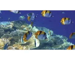 Badrückwand mySPOTTI aqua Unterwasser 90x45 cm
