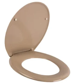 Calmwaters® Spülrandloses Hänge WC, Tiefspül WC aus Keramik, Komplettset mit WC Sitz mit Absenkautomatik in Beige-Bahamabeige, Waagerechter Abgang, WC Sitz aus antibakteriellem Duroplast, 99000190