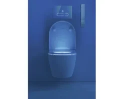 DURAVIT Dusch-WC Set Starck f Lite Tiefspüler ohne Spülrand mit hygienedusche weiß glänzend mit WC-Sitz 650001012004310