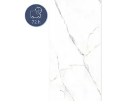 Duschrückwand BREUER Express Q72 Hochglanz Marmor weiß 210 x 100 cm 1413549000202