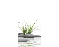 Duschrückwand SCHULTE DecoDesign Zen Steine Gras 210 x 90 cm D1900921 632 210