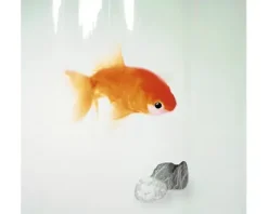 Duschvorhang spirella Goldfish 180 x 200 cm