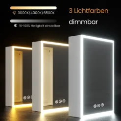EMKE LED Spiegelschrank 50 x 70 cm 3 Lichtfarben & Antibeschlag Silberweiß