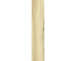Feinsteinzeug Wand- und Bodenfliese ARENDAL light Oak rektifiziert 119.5 x 22.7 x 0,97 cm
