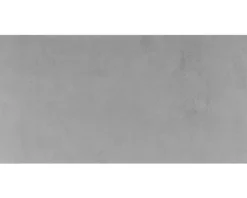 form&style Feinsteinzeug Wand- und Bodenfliese MODENA grigio 30,5 x 61,5 x 0,74 cm