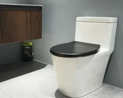 form&style WC-Sitz Bathala schwarz matt Absenkautomatik