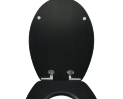 form&style WC-Sitz Black matt mit Absenkautomatik und Quick&Clean