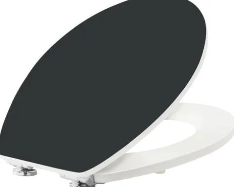 form&style WC-Sitz Color Edge schwarz mit Absenkautomatik