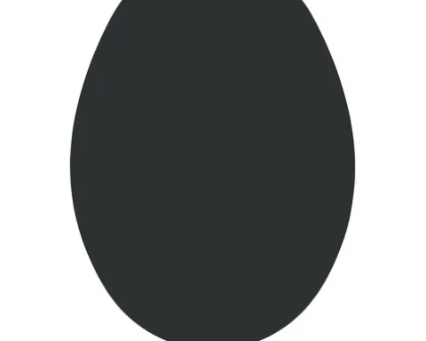 form&style WC-Sitz Color Edge schwarz mit Absenkautomatik