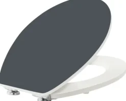 form&style WC-Sitz Color Edge grau matt mit Absenkautomatik