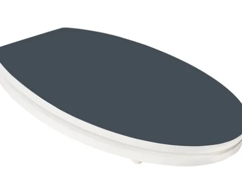 form&style WC-Sitz Color Edge grau matt mit Absenkautomatik