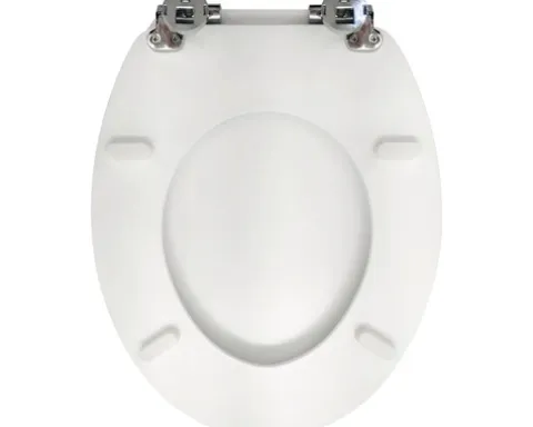 form&style WC-Sitz Color Edge grau matt mit Absenkautomatik