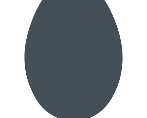 form&style WC-Sitz Color Edge grau matt mit Absenkautomatik