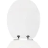 form&style WC-Sitz Edge metallic silver MDF mit Absenkautomatik