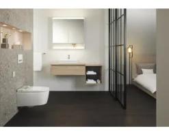 GEBERIT Dusch-WC Komplettanlage Aquaclean Sela weiß 146.220.11.1