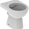 GEBERIT Stand-WC Renova Tiefspüler ohne Spülrand manhattan glänzend ohne WC-Sitz 500799001