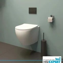 Geberit Vorwandelement RIVA WC spülrandlos R(h)einwirbel Spülung Set