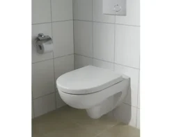 GEBERIT Wand-WC Set Renova Tiefspüler ohne Spülrand weiß glänzend mit WC-Sitz CG02035000
