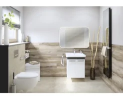GEBERIT WC-Sitz Renova Neu weiß 573.015.00.0