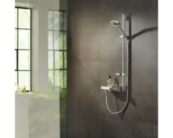 Handbrause hansgrohe Raindance Select S 120 3jet 26014000 Ø 12,5 cm chrom