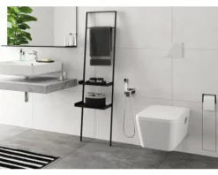 hansgrohe Bidetbrauseset Bidette 1jet E EcoSmart für Warmwasser mit Brausehalter und Brauseschlauch 125 cm chrom 29233000