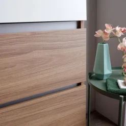 Hängendes Badezimmermöbel 120cm Schubladen und Waschbecken 1 Becken ohne Spiegel | Valentina