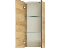 Hängeschrank Pelipal Quickset 395 BxHxT 30 x 70 cm x 20 cm Frontfarbe eiche riviera