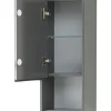 Hängeschrank Pelipal xpressline 3261 grau mit Glasfront BxHxT 30 x 70 x 16 cm