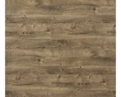 Jungborn Hängeschrank VENTITRE BxHxT 30 x 70 cm x 17 cm Frontfarbe eiche ribbeck holzdekor