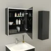 Jungborn Spiegelschrank QUATTRO SEDICI NOVE 60 x 20 x 70 cm schwarz matt 1-türig LED IP 44