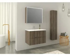 Jungborn Spiegelschrank QUATTRO SEDICI NOVE 80 x 20 x 70 cm nussbaum 2-türig LED IP 44