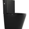Jungborn spülrandlose WC-Kombination FLORIEL/ONE 64 schwarz matt mit WC-Sitz (Absenkautomatik, Quick-Release leicht abnehmbar)