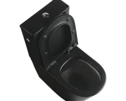 Jungborn spülrandlose WC-Kombination FLORIEL/ONE 64 schwarz matt mit WC-Sitz (Absenkautomatik, Quick-Release leicht abnehmbar)