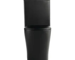 Jungborn spülrandlose WC-Kombination FLORIEL/ONE 64 schwarz matt mit WC-Sitz (Absenkautomatik, Quick-Release leicht abnehmbar)