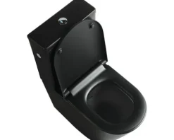 Jungborn spülrandlose WC-Kombination FLORIEL/ONE 64 schwarz matt mit WC-Sitz (Absenkautomatik, Quick-Release leicht abnehmbar)