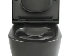 Jungborn spülrandlose WC-Kombination FLORIEL/ONE 64 schwarz matt mit WC-Sitz (Absenkautomatik, Quick-Release leicht abnehmbar)