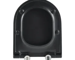 Jungborn Wand-WC Set ONE 53 Tiefspüler ohne Spülrand schwarz matt mit WC-Sitz (Absenkautomatik, Quick-Release leicht abnehmbar) mit Turbo-Flush-Technologie