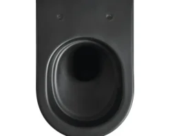 Jungborn Wand-WC Set ONE 53 Tiefspüler ohne Spülrand schwarz matt mit WC-Sitz (Absenkautomatik, Quick-Release leicht abnehmbar) mit Turbo-Flush-Technologie