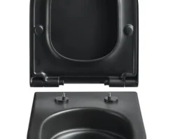 Jungborn Wand-WC Set ONE 53 Tiefspüler ohne Spülrand schwarz matt mit WC-Sitz (Absenkautomatik, Quick-Release leicht abnehmbar) mit Turbo-Flush-Technologie