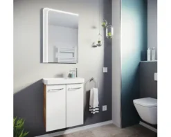 LED Badspiegelelement FACKELMANN Milano 55x80 cm 11,8 W
