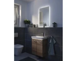 LED Badspiegelelement FACKELMANN Milano 55x80 cm 11,8 W