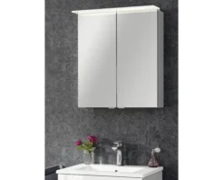 LED-Spiegelschrank Fackelmann b.perfekt 60x69x15 cm 2-türig weiß