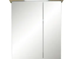 LED Spiegelschrank Salvie 60 x 72 x 20cm Salbei