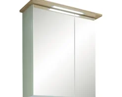 LED Spiegelschrank Salvie 60 x 72 x 20cm Salbei
