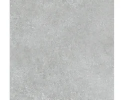 MIRAVA Feinsteinzeug Wand- und Bodenfliese SEATTLE grau 59,8 cm x 59,8 cm x 0,9 cm matt rektifiziert
