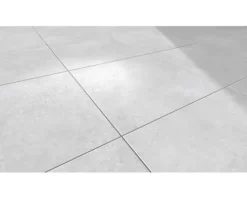 MIRAVA Feinsteinzeug Wand- und Bodenfliese SEATTLE grau 59,8 cm x 59,8 cm x 0,9 cm matt rektifiziert