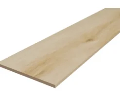 MIRAVA Feinsteinzeug Wand- und Bodenfliese OSLO 19,7 cm x 120 cm x 0,9 cm walnut light matt rektifiziert UGL